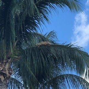 Meet your Posher, Marcos